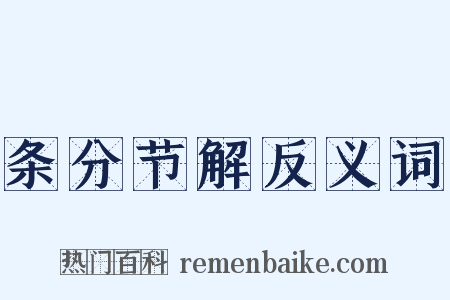 条分节解反义词是什么意思的图片